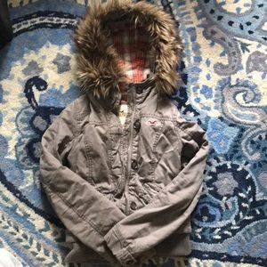 Hollister coat
